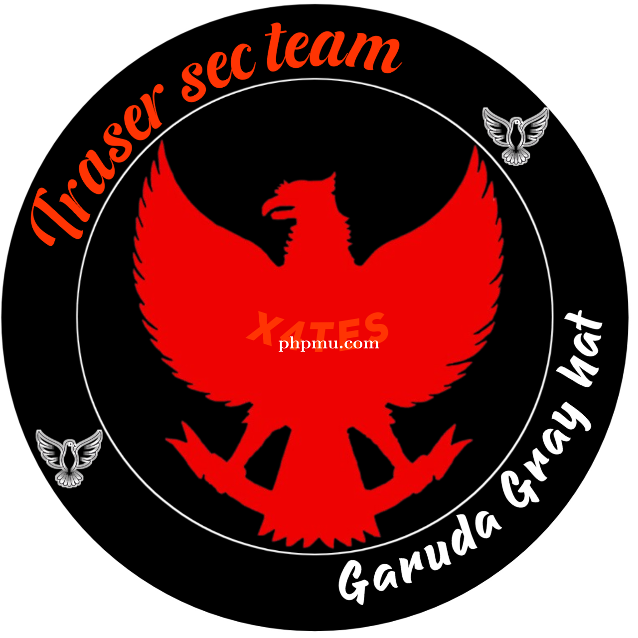 trasersecteam